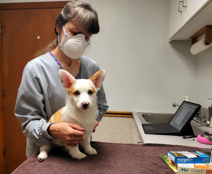 The Village Veterinarian Picture 9
