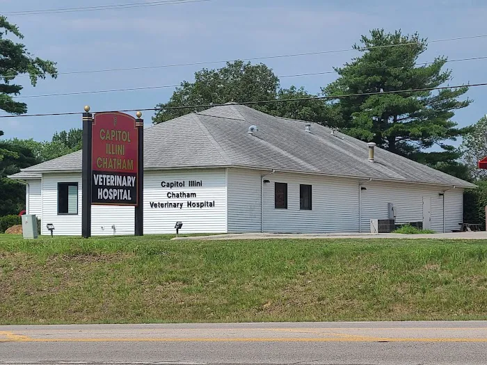 Capitol Illini Veterinary Services - Chatham Picture 4