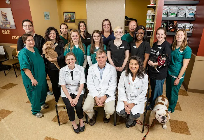 Capitol Illini Veterinary Services - Chatham Picture 3