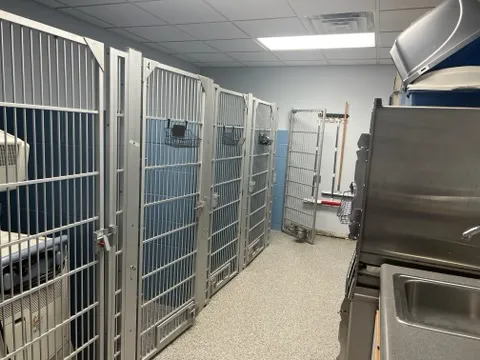 Capitol Illini Veterinary Services - Chatham Picture 10