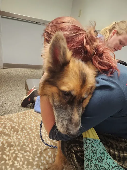 Chatham Veterinary Clinic Picture 5