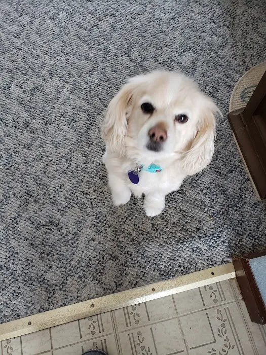 Laketown Animal Hospital Picture 8