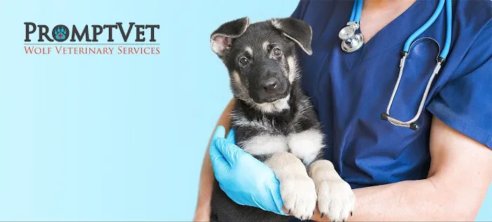 Prompt Vet Picture 7