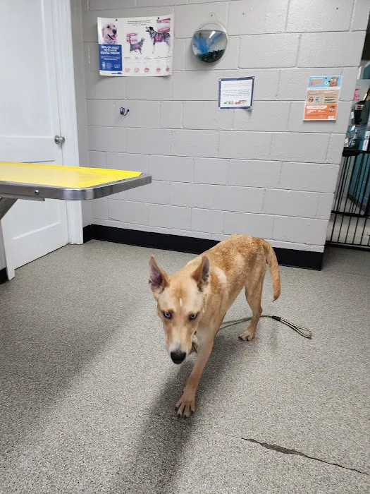 Parkway Veterinary Clinic Picture 1