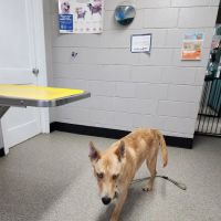 Parkway Veterinary Clinic ico