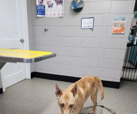 Parkway Veterinary Clinic