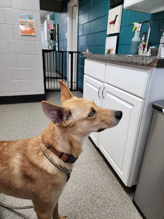 Parkway Veterinary Clinic Picture 2
