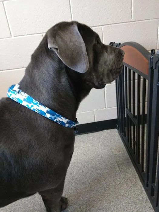 Parkway Veterinary Clinic Picture 9