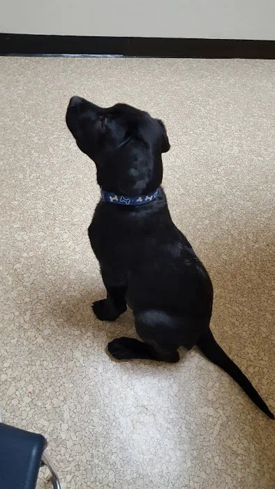 Coble Animal Hospital Picture 4