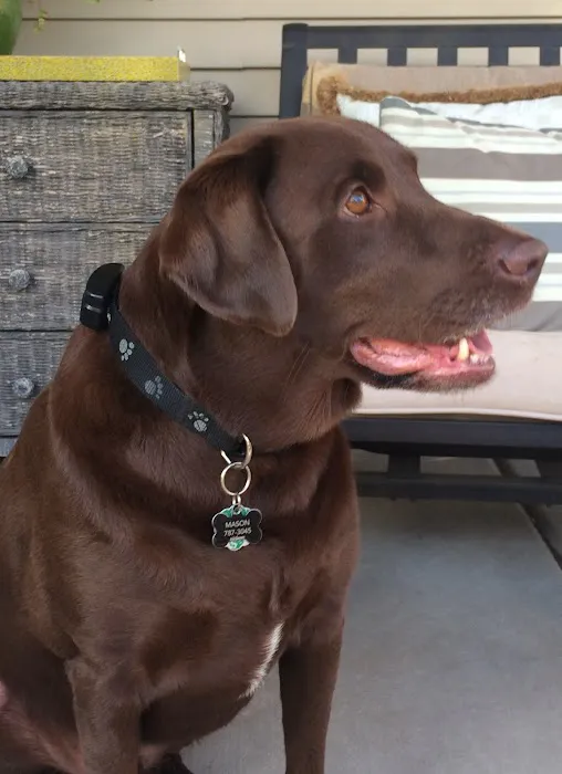 Coble Animal Hospital Picture 9