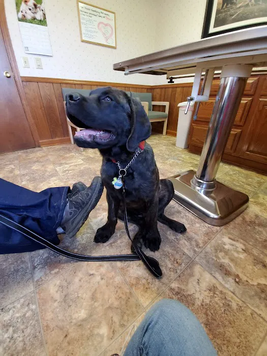 Coble Animal Hospital Picture 8