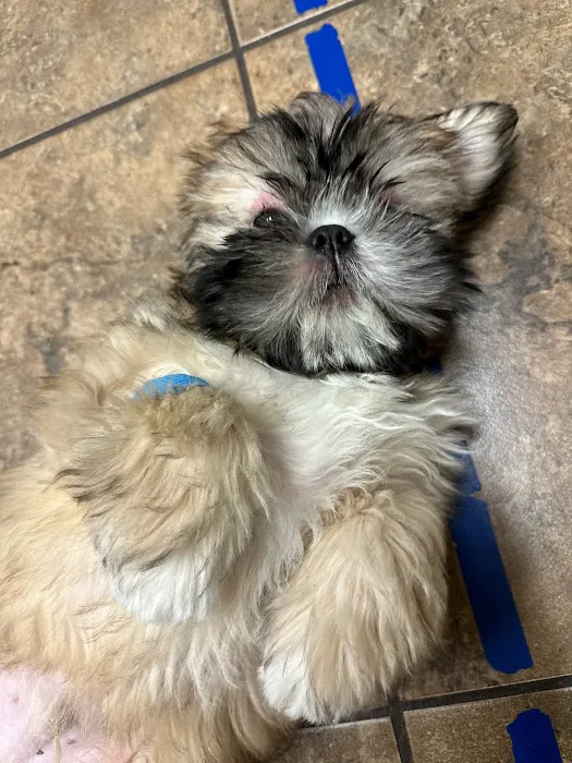 Hawthorne Park Animal Care Center Picture 4