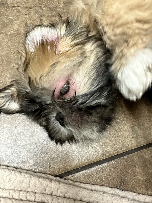 Hawthorne Park Animal Care Center Picture 6