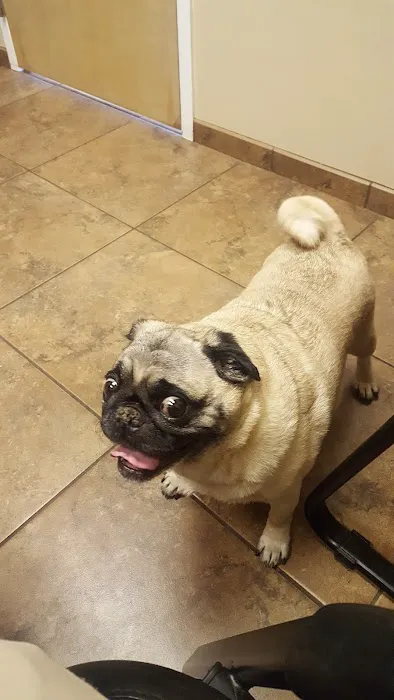 Hawthorne Park Animal Care Center Picture 8