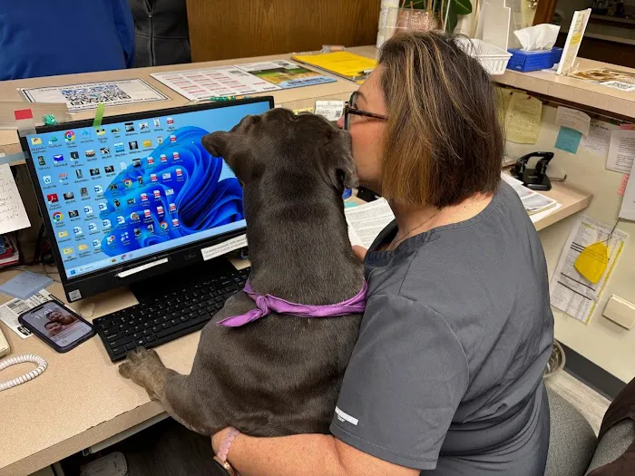 Chessie Lane Animal Hospital Picture 6