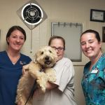 Tri-County Veterinary Services LLC