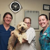 Tri-County Veterinary Services LLC ico