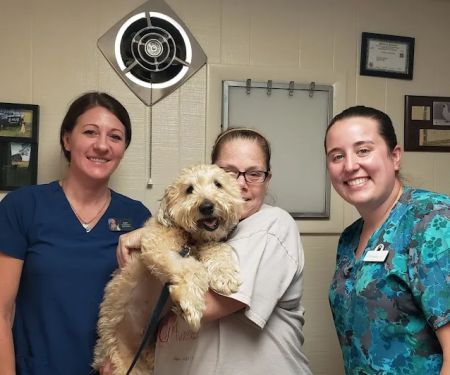 Tri-County Veterinary Services LLC