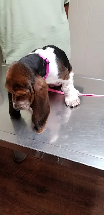 Tri-County Veterinary Services LLC Picture 7