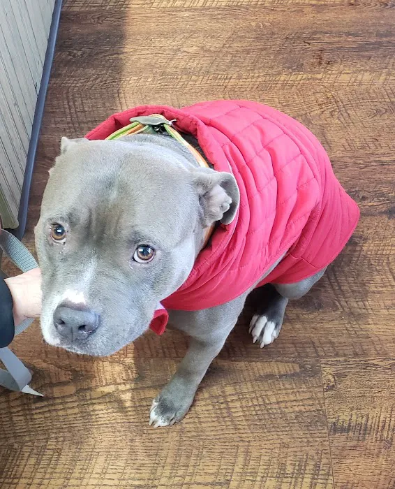 Tri-County Veterinary Services LLC Picture 5
