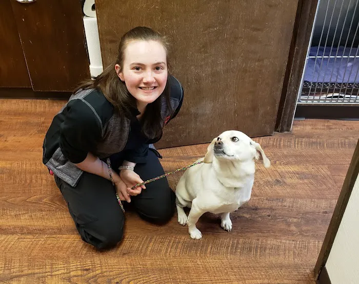 Tri-County Veterinary Services LLC Picture 9