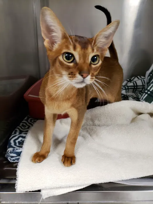 Tri-County Veterinary Services LLC Picture 10