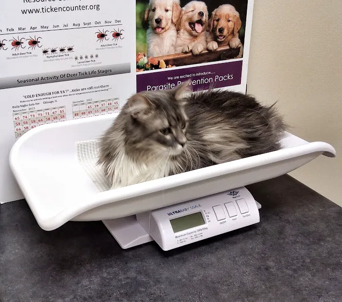 Campton Animal Clinic Picture 1