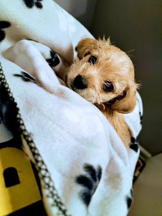 Wauconda Animal Hospital Picture 1