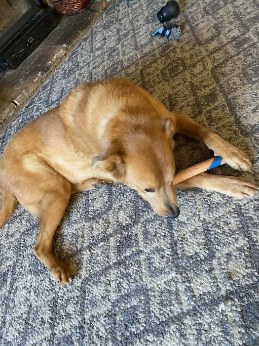 Wauconda Animal Hospital Picture 6