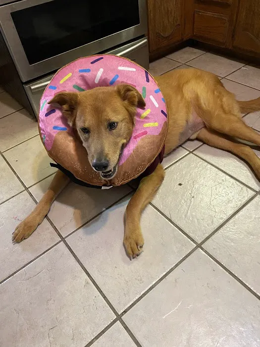 Wauconda Animal Hospital Picture 7