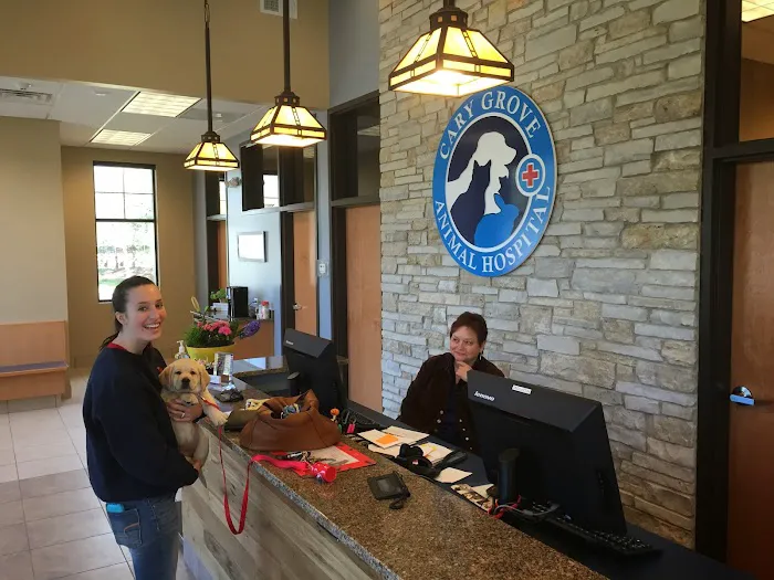 Cary Grove Animal Hospital Picture 8