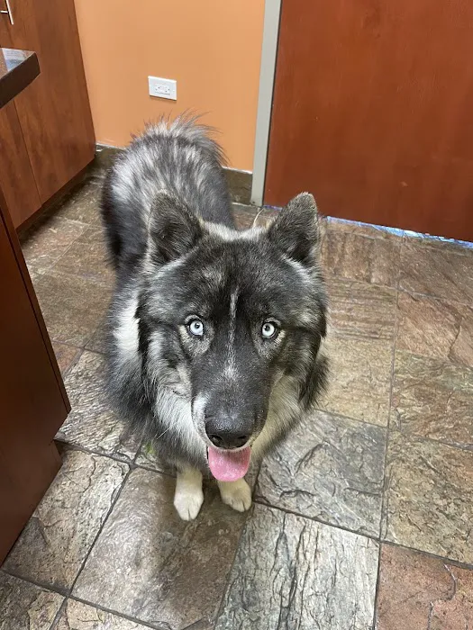 Animal Doctor Ltd: Garr Tammy DVM Picture 1