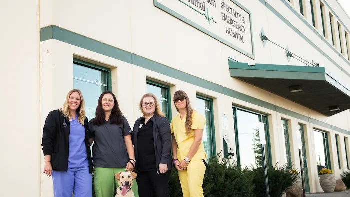 Companion Animal Specialty & Emergency Hospital Picture 1
