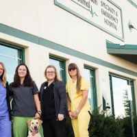 Companion Animal Specialty & Emergency Hospital ico