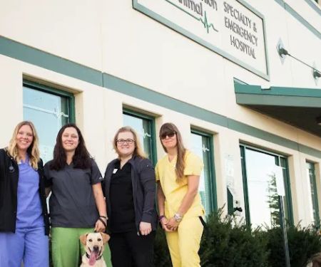 Companion Animal Specialty & Emergency Hospital