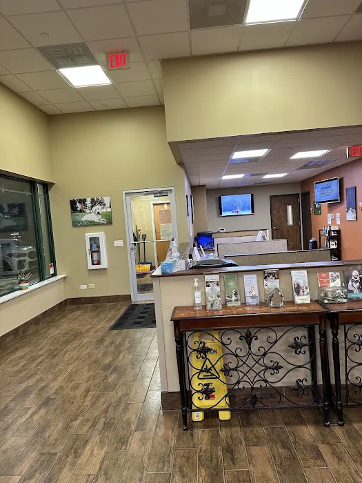 Companion Animal Specialty & Emergency Hospital Picture 6