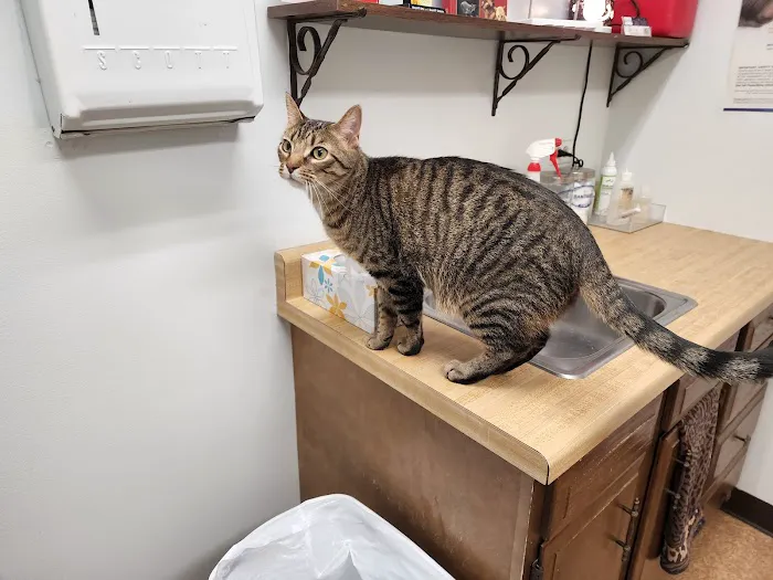 Island Lake Veterinary Clinic Picture 2