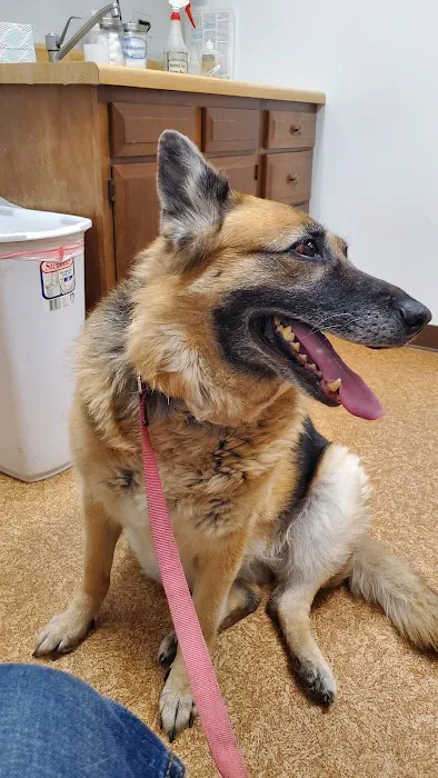 Island Lake Veterinary Clinic Picture 5