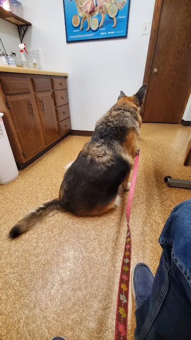 Island Lake Veterinary Clinic Picture 7