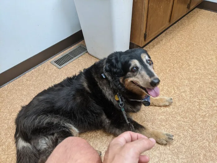 Island Lake Veterinary Clinic Picture 9