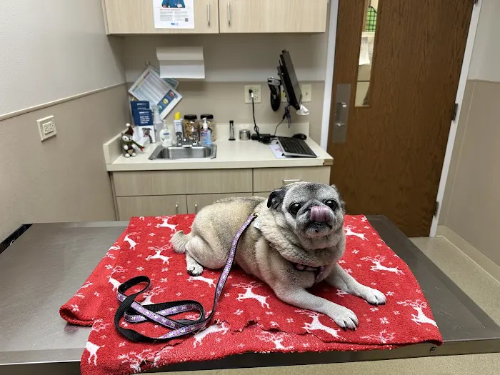 Mundelein Animal Hospital Picture 4