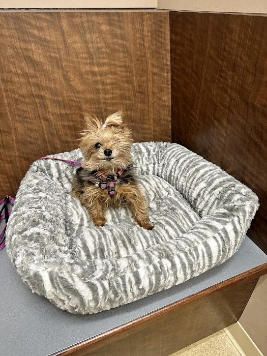 Mundelein Animal Hospital Picture 5