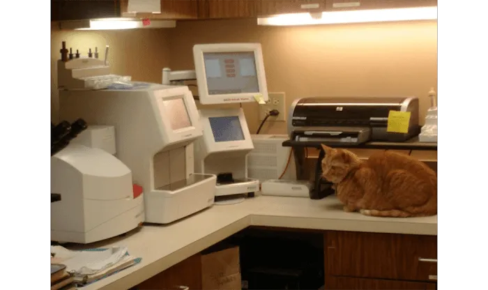 Mundelein Animal Hospital Picture 9