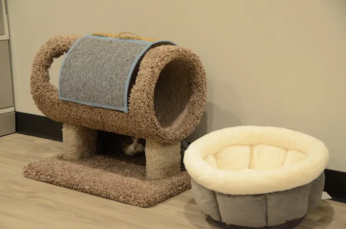 Care Animal Hospital of Libertyville Picture 1