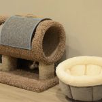 Care Animal Hospital of Libertyville