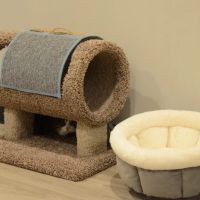 Care Animal Hospital of Libertyville ico