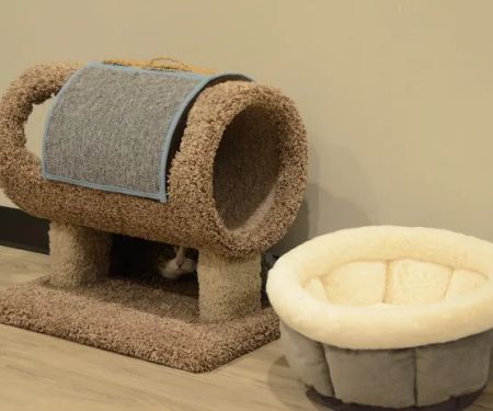 Care Animal Hospital of Libertyville