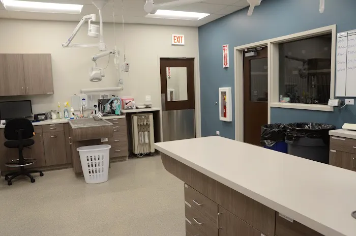 Care Animal Hospital of Libertyville Picture 2