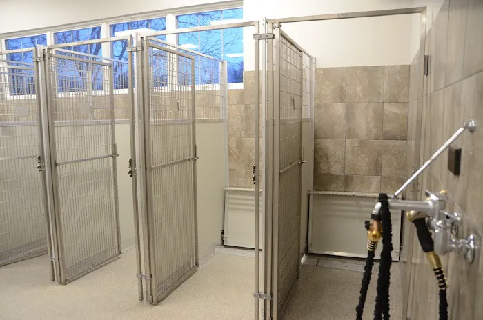 Care Animal Hospital of Libertyville Picture 3