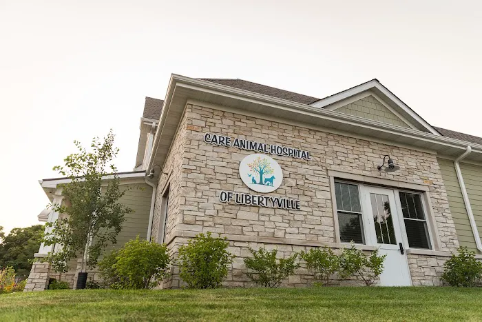 Care Animal Hospital of Libertyville Picture 6
